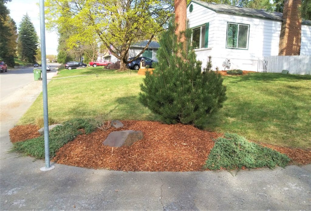 Quality Bark Installation Services - Mauro's Landscaping